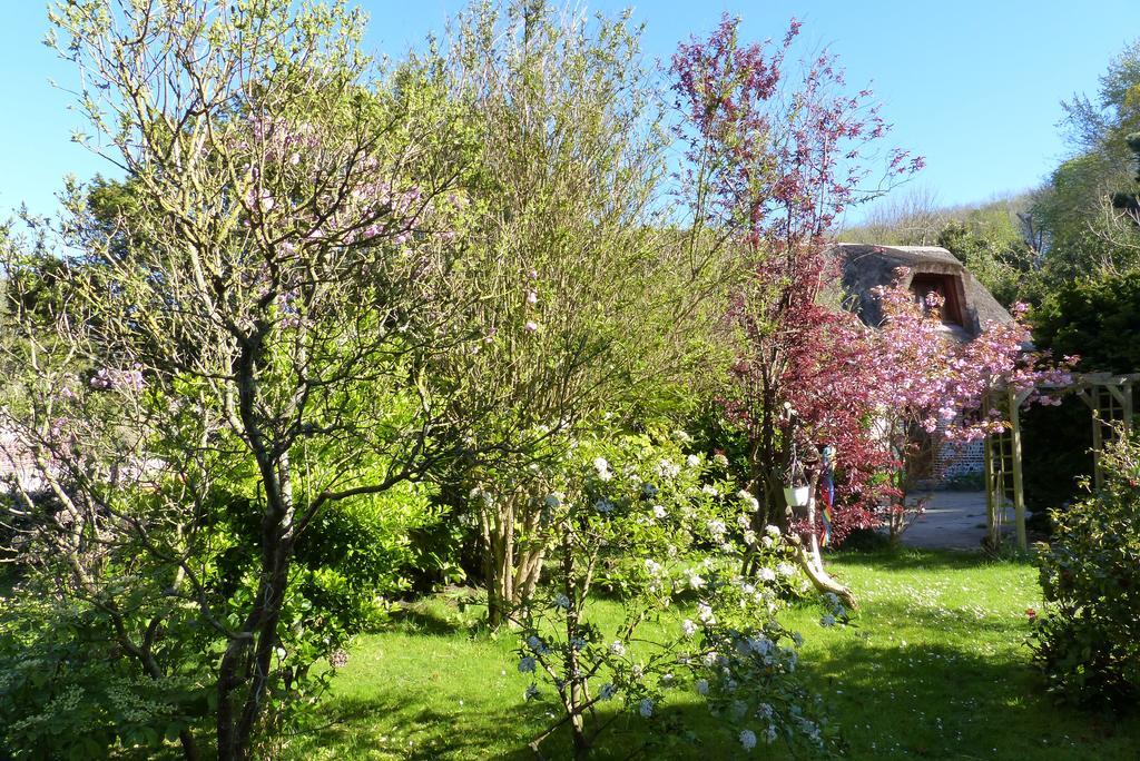 La Flore Marine Saint-Jouin-Bruneval Exterior foto
